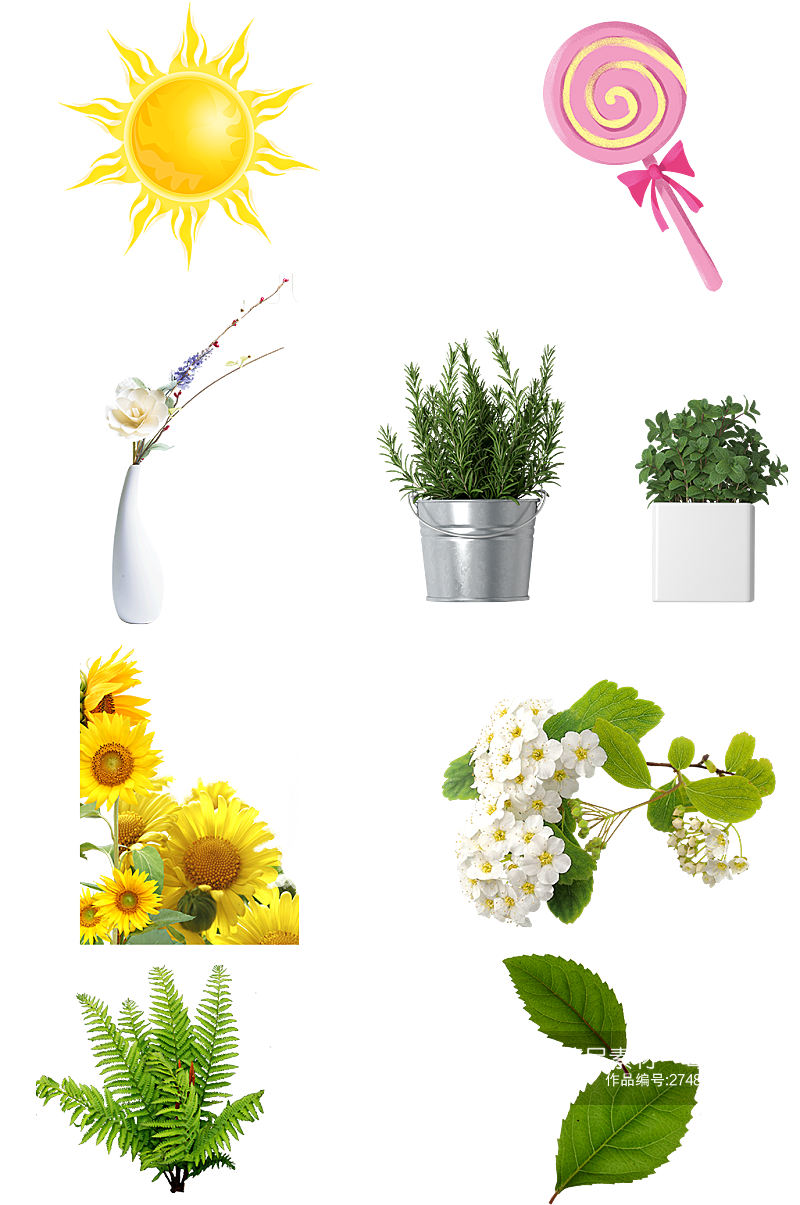 太阳绿植绿色鲜花树叶装饰花瓶盆栽免扣素材