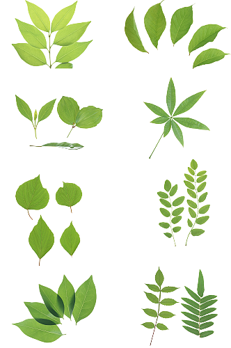 植物绿色叶子漂浮自然免扣元素png