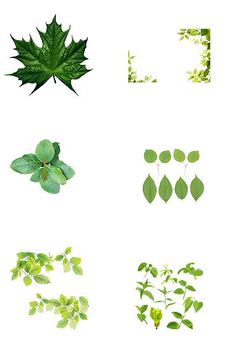 绿叶飘叶免扣png自然树叶春天素材