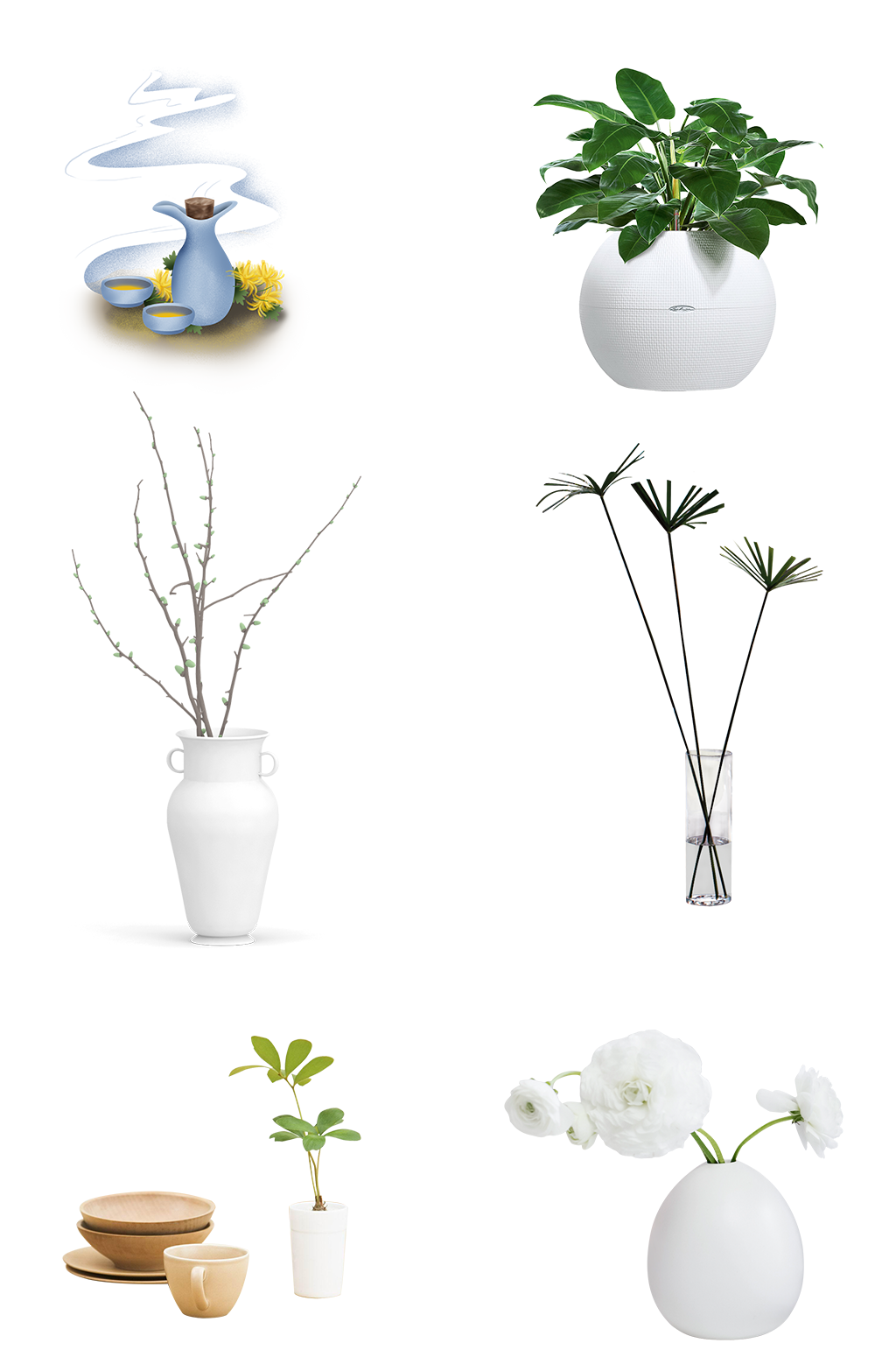 盆栽桌面装饰绿植花瓶免扣png素材