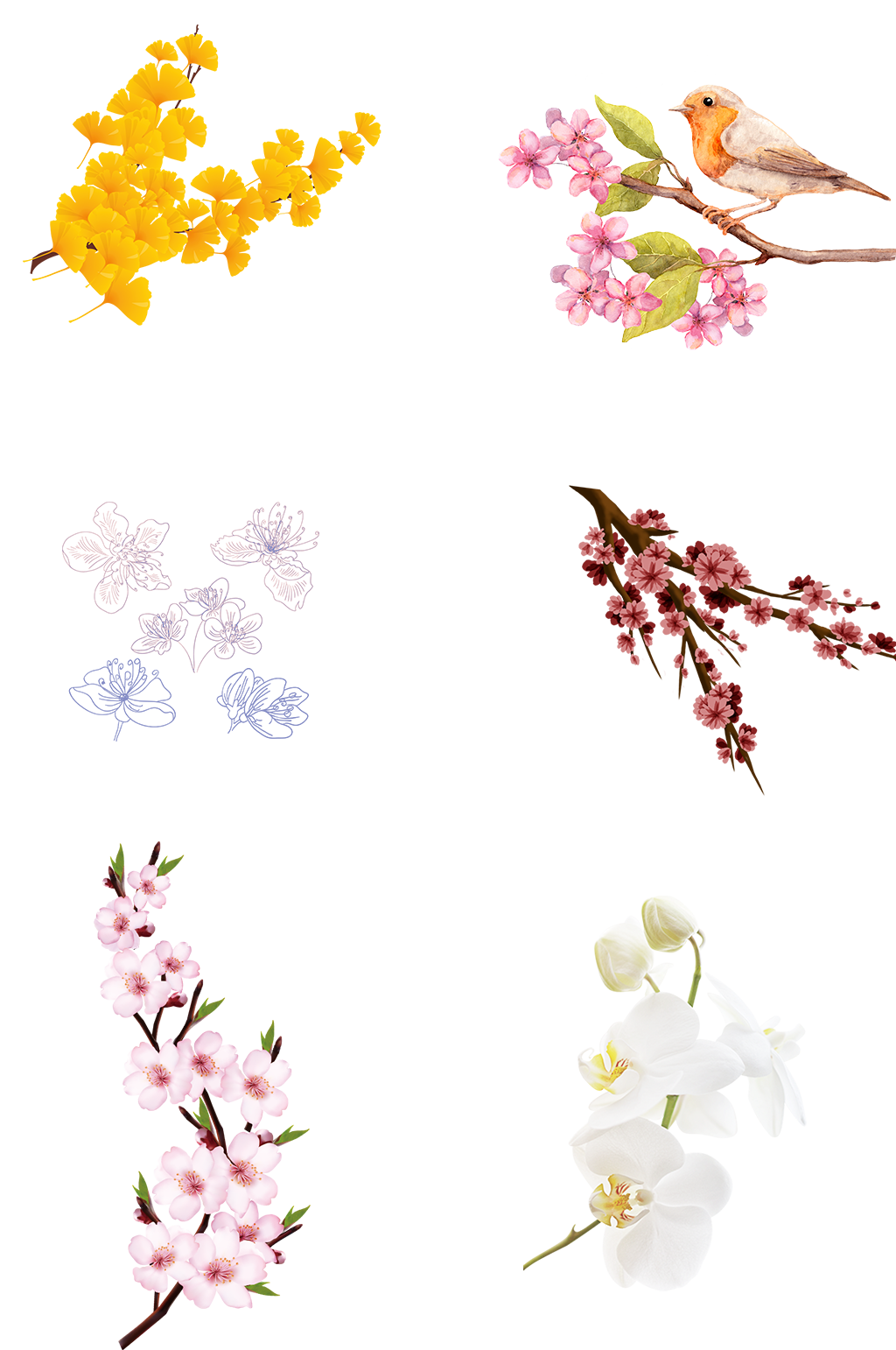 一枝花桃花鸟杏叶春天秋天免扣素材梅花树枝素材