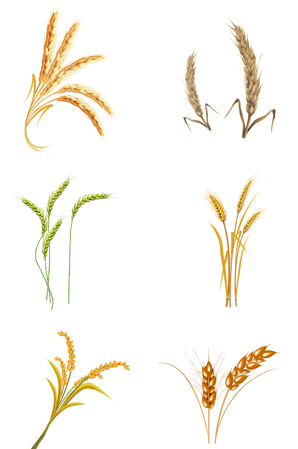 麦子麦穗大麦金黄秋天收获粮食海报面包素材