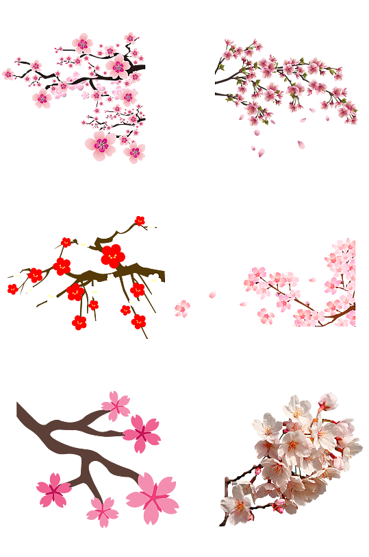 桃树桃树枝桃花春天梅花高清免扣png素材-众图网