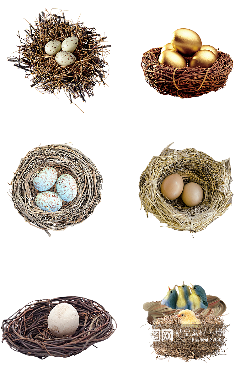 鸟巢金蛋鸡蛋保护环境自然素材免扣png素材