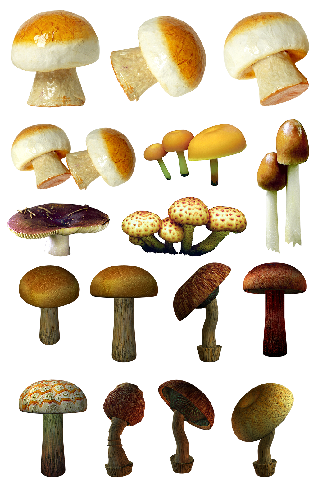 菌类蘑菇食材菜谱厨房高清png免扣素材素材