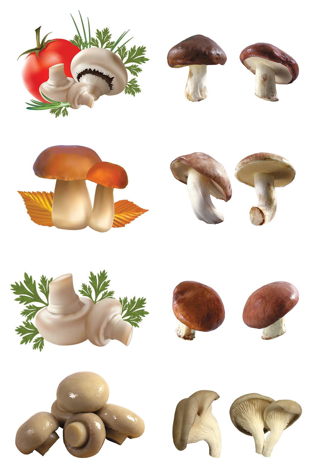蔬菜蘑菇香菇海鲜菇火锅素材元素免扣png素材
