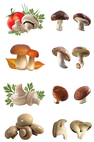 蔬菜蘑菇香菇海鲜菇火锅素材元素免扣png