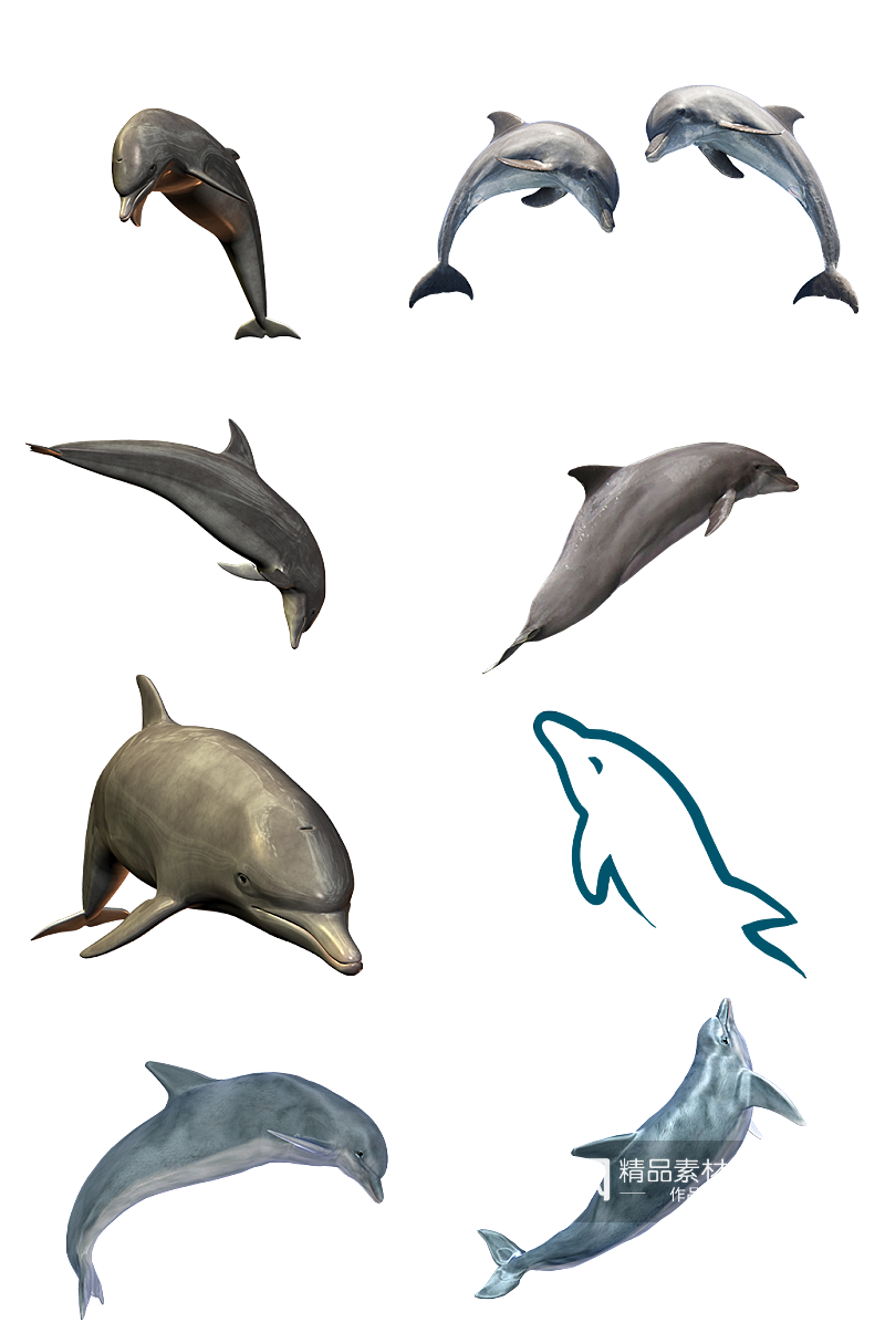 海洋馆海豚大海动物跳跃夏天大促png免扣素材