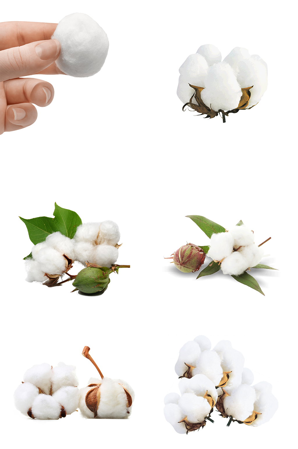 棉花素材免扣png手拿衣服布料素材