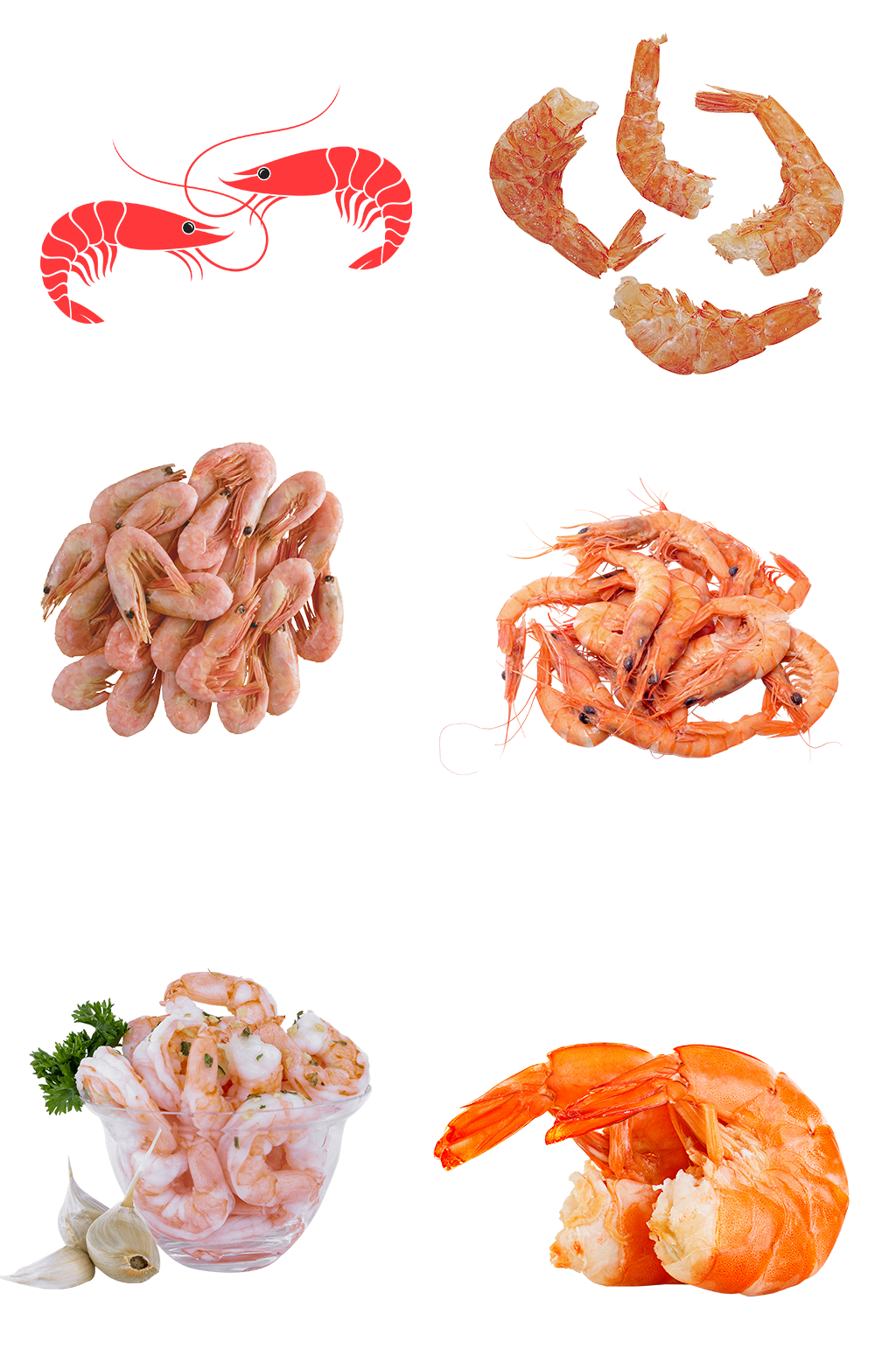 基围虾高清实拍免扣海鲜菜谱素材png元素素材