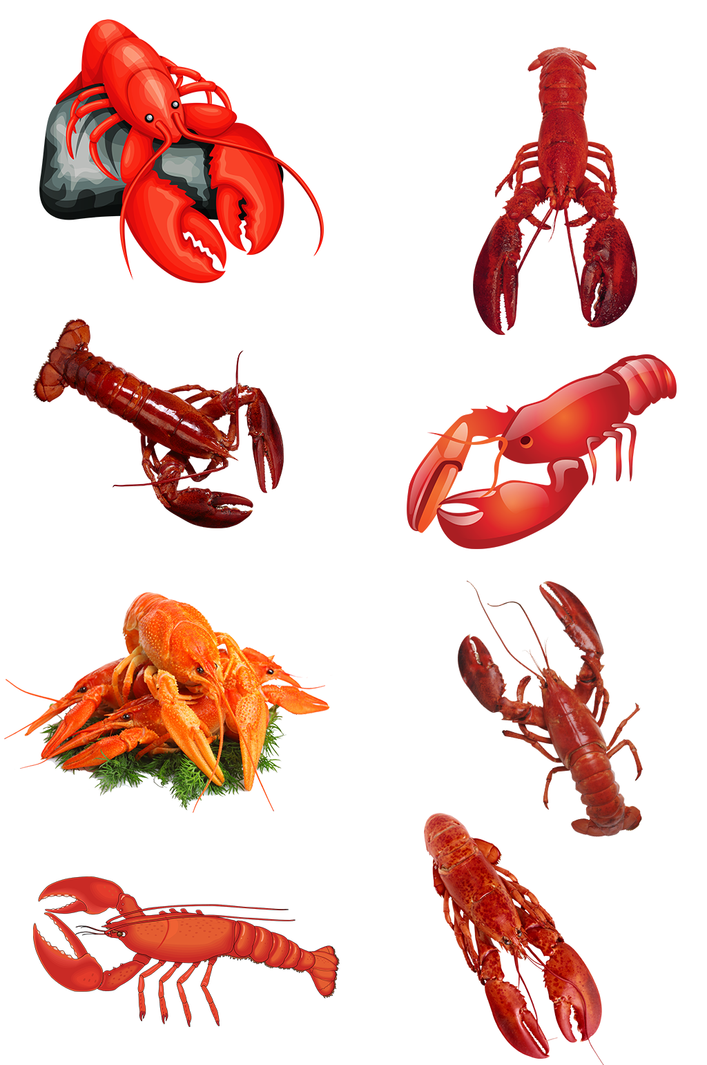 龙虾海鲜菜谱素材高清免扣png生鲜素材
