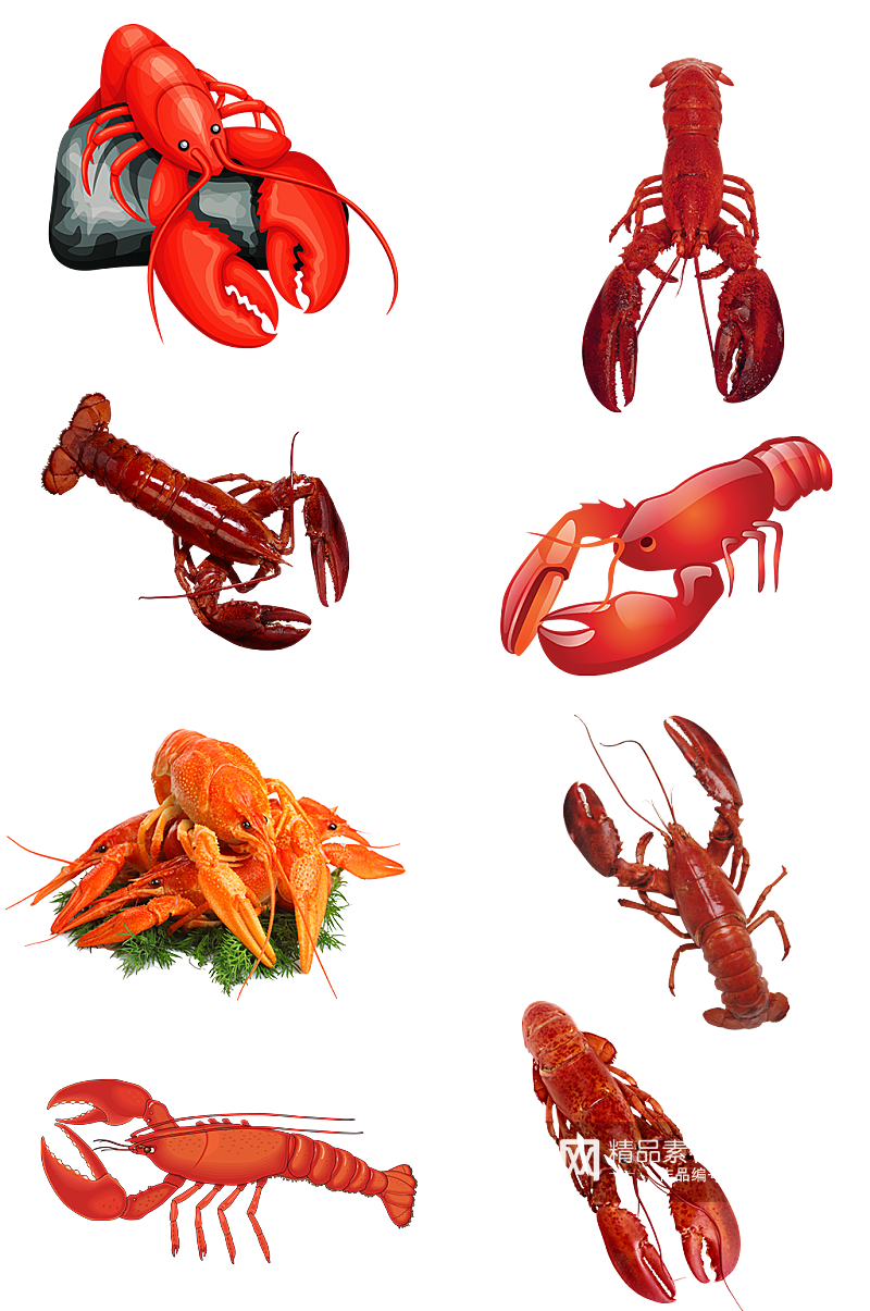 龙虾海鲜菜谱素材高清免扣png生鲜素材