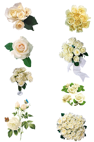 白玫瑰花束表白情人节七夕花瓶插花png