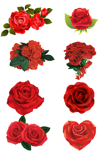 花朵鲜花玫瑰花浪漫情人节七夕情人节花束