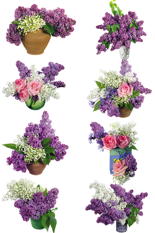 花瓶盆栽家居装饰插花景观紫色桌面绿植鲜花