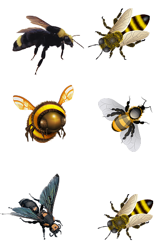 蜜蜂动物采蜜免扣png素材蜂蜜农产品