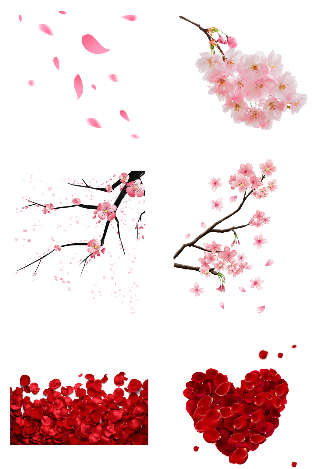 花瓣图库桃花桃树枝免扣png落花春天玫瑰花瓣素材素材