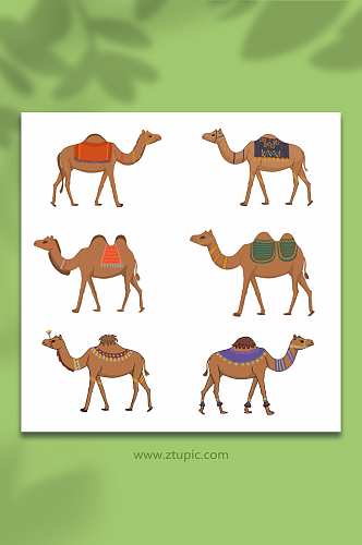 简约沙漠骆驼动物元素