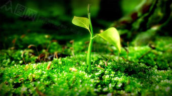 企业文化精神梦想励志宣传视频-众图网