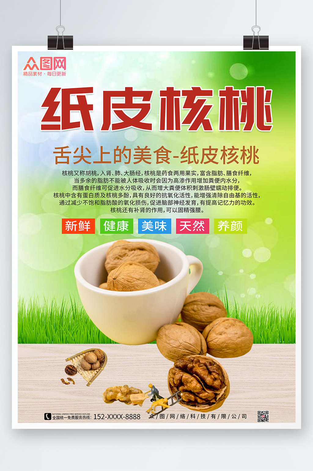 纸皮核桃坚果宣传海报素材