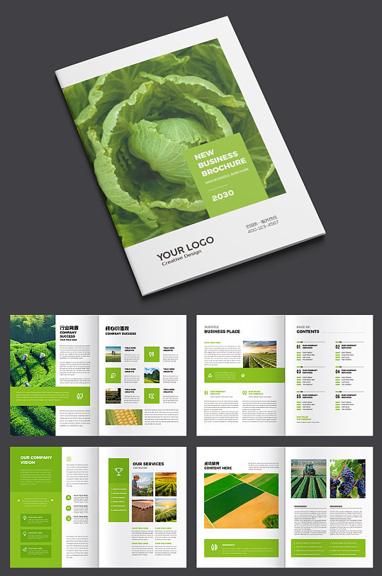 绿色农业画册蔬菜宣传册 农产品画册