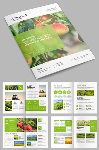 农业画册绿色画册水果画册 农产品画册