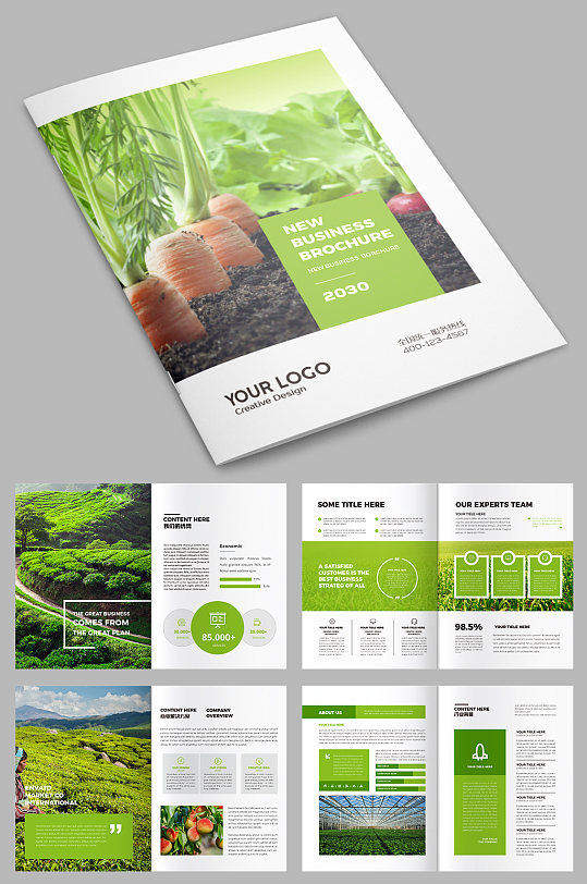 绿色农业宣传册农产品画册设计模板