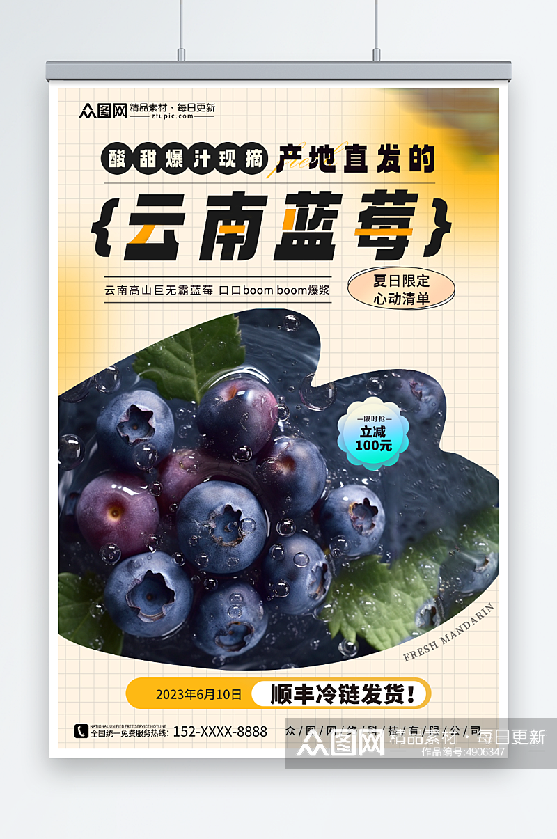 云南蓝莓水果店图片海报素材