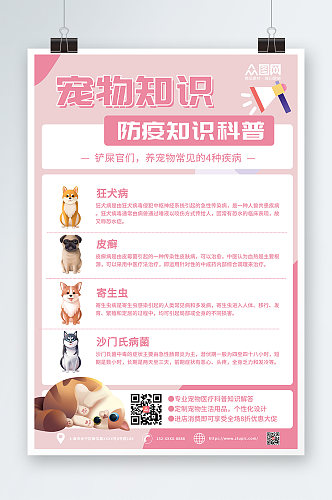 粉色宠物疾病科普宣传海报