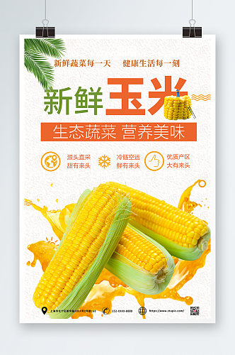 小清新新鲜玉米促销海报