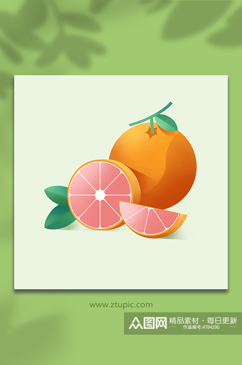 香甜红心柚子冬季水果元素插画素材