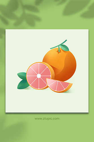 香甜红心柚子冬季水果元素插画