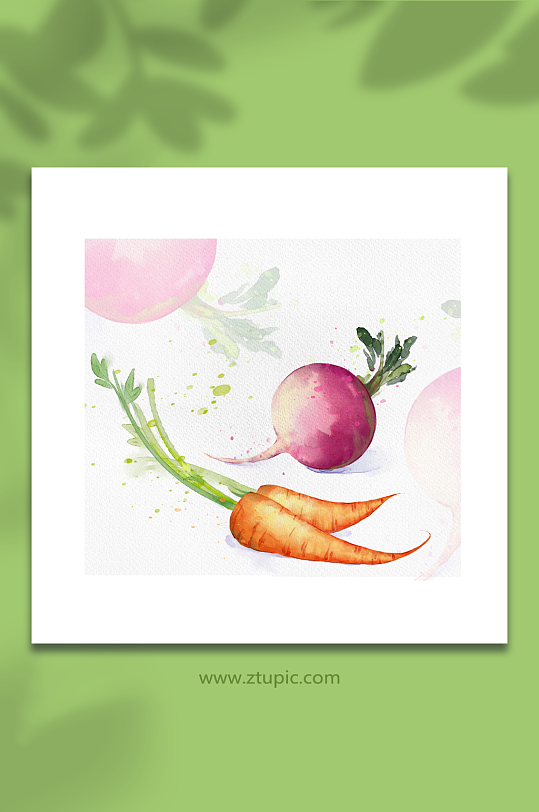 水果胡萝卜萝卜水彩蔬菜元素插画