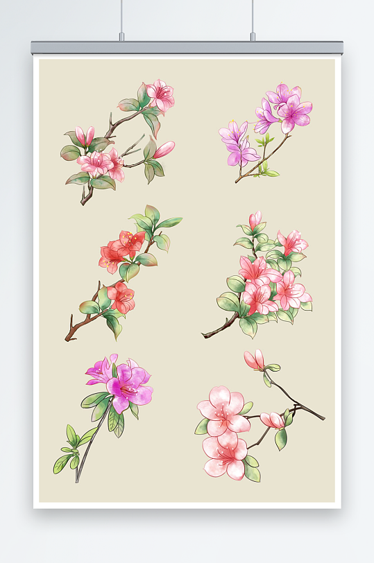 杜鹃花花卉元素插画-众图网