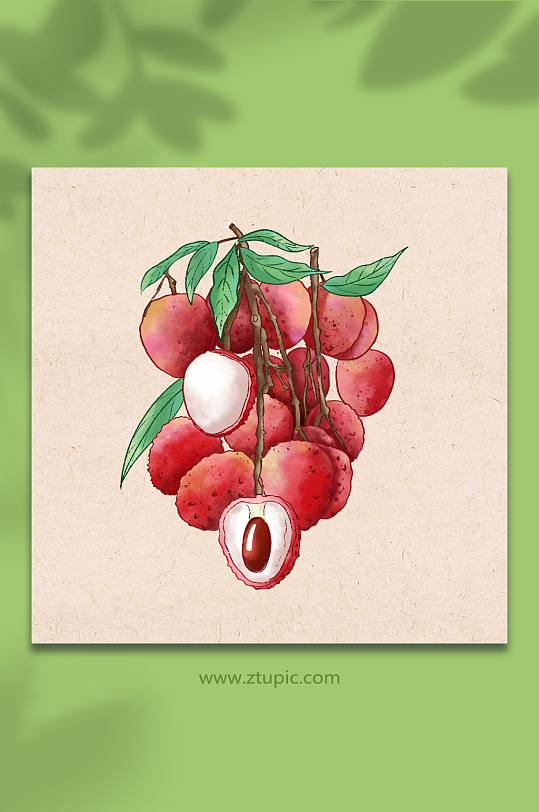 荔枝水果元素插画-众图网