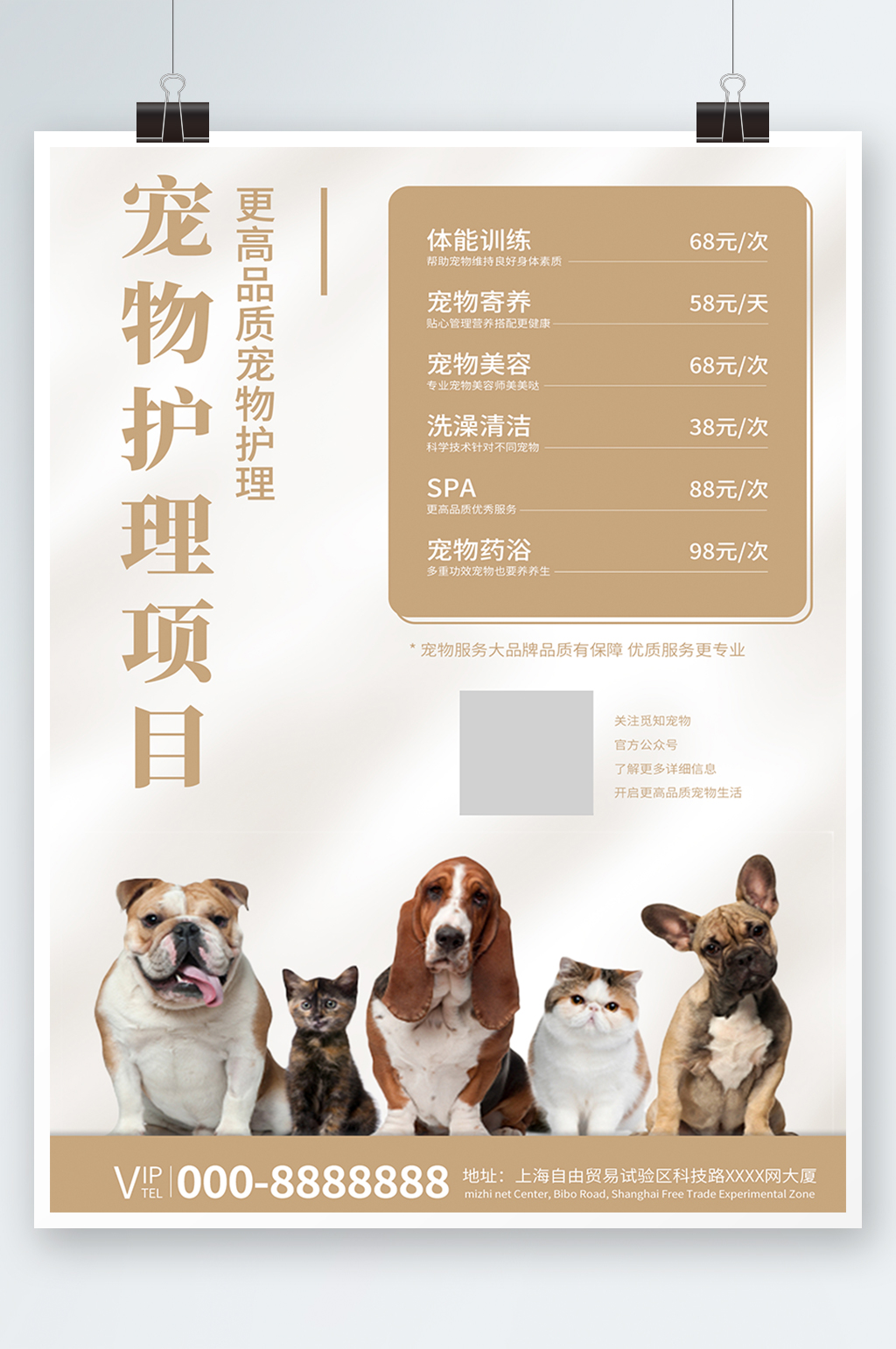 金色时尚宠物店护理海报模板下载-编号2425101-众图网