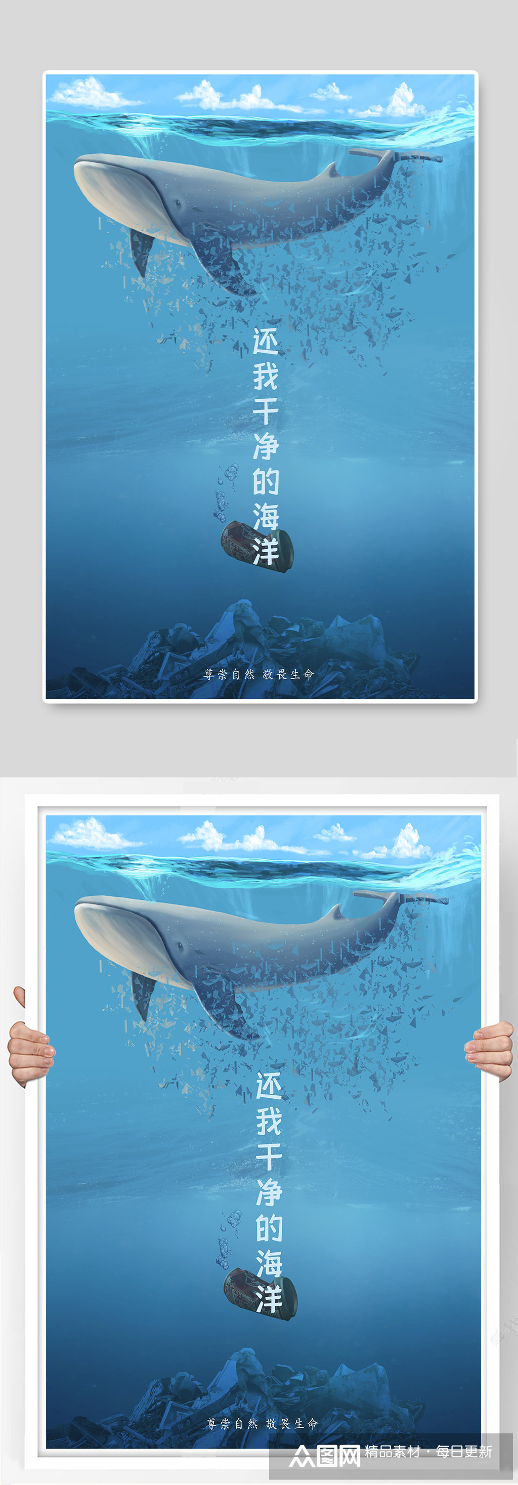 保护动物保护海洋环境鲸鱼公益