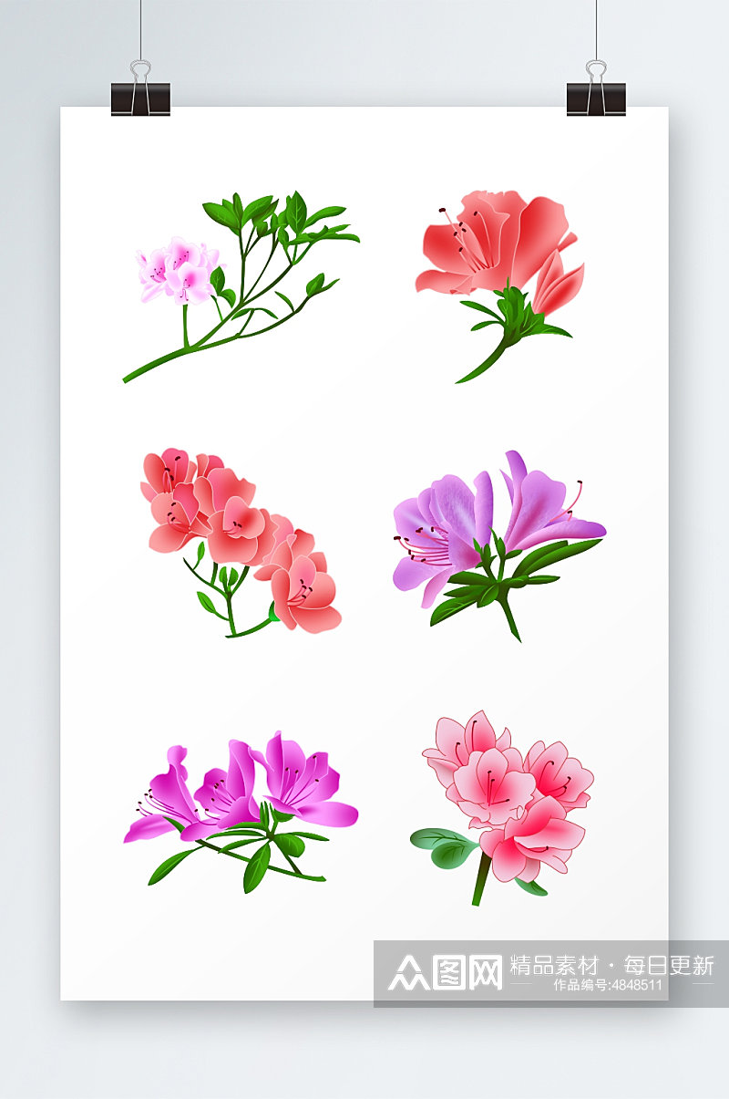 春意盎然手绘杜鹃花花卉元素插画素材