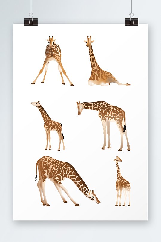 手绘仿真多姿态长颈鹿动物元素插画