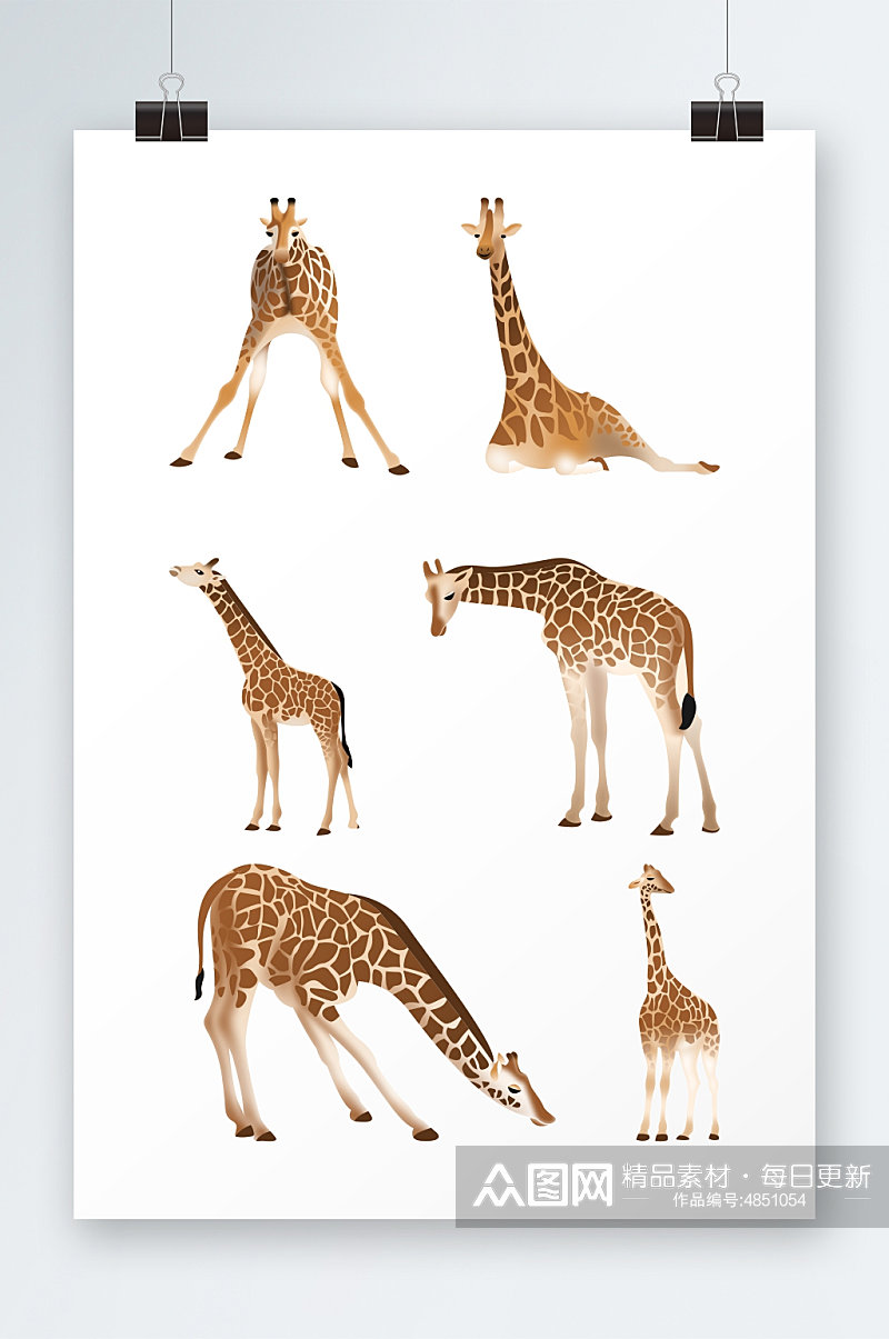 手绘仿真多姿态长颈鹿动物元素插画素材