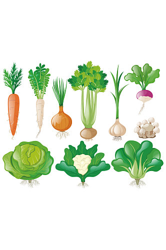 不同类型蔬菜基元素