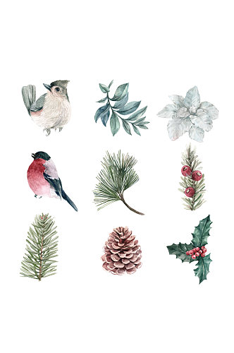 水彩冬季植物和鸟类收集矢量