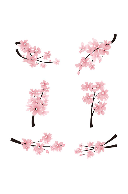 粉色花春季樱花盛开