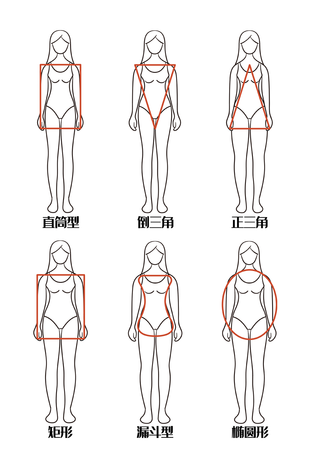人物体型线稿身材比例图模板下载 编号6041 众图网