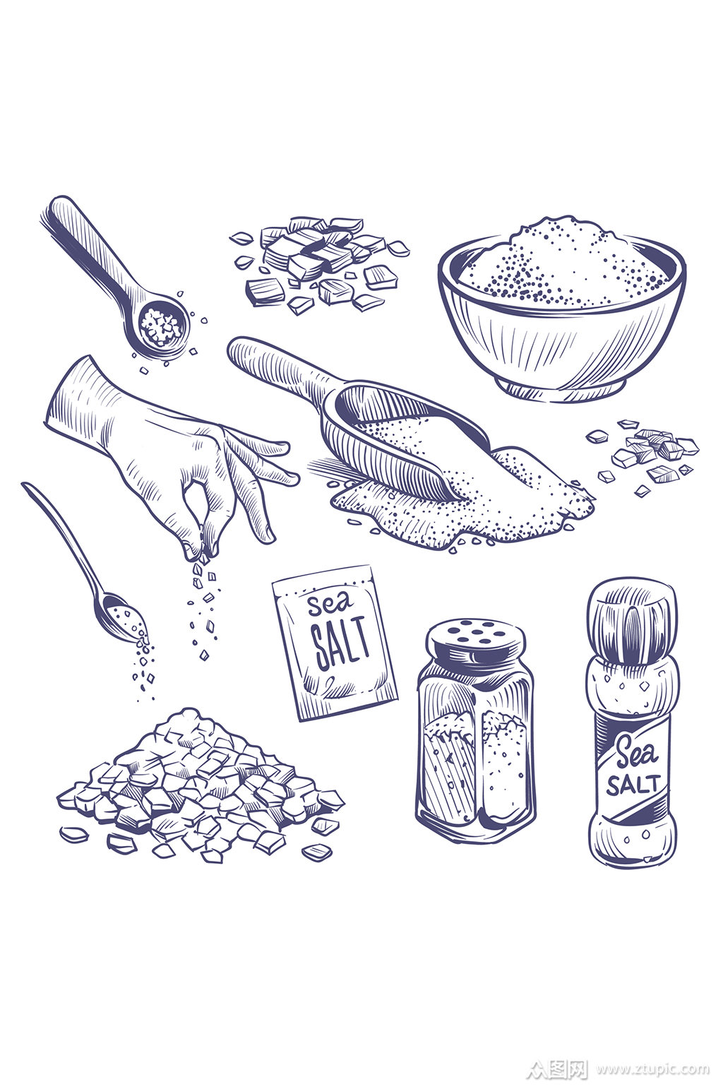素描海盐手绘香料厨师调味料素材