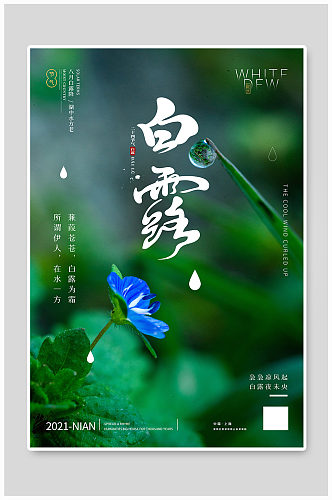 白露花草露珠绿色简约创意海报