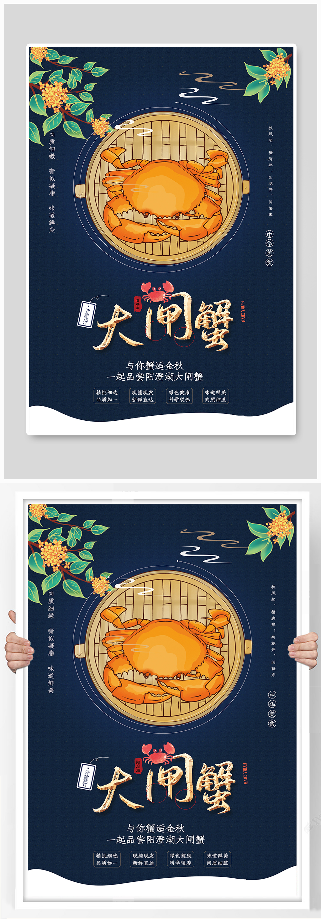 美食阳澄湖大闸蟹海报素材