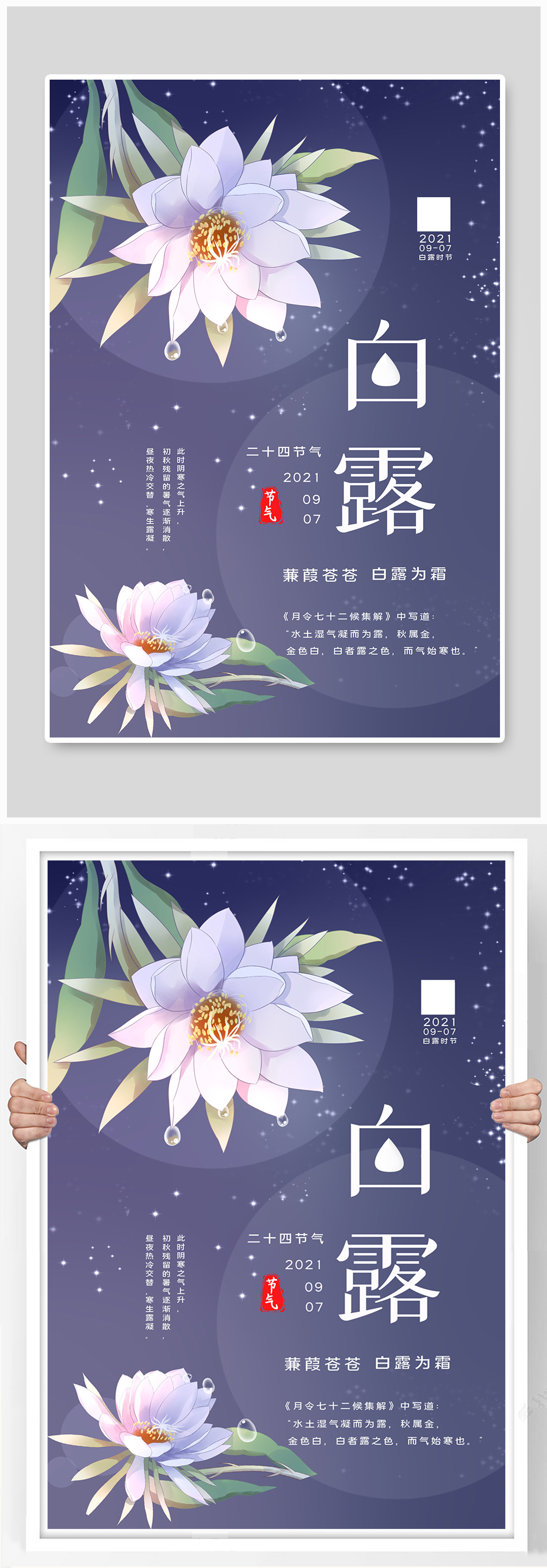 大气白露二十四节气户外海报素材