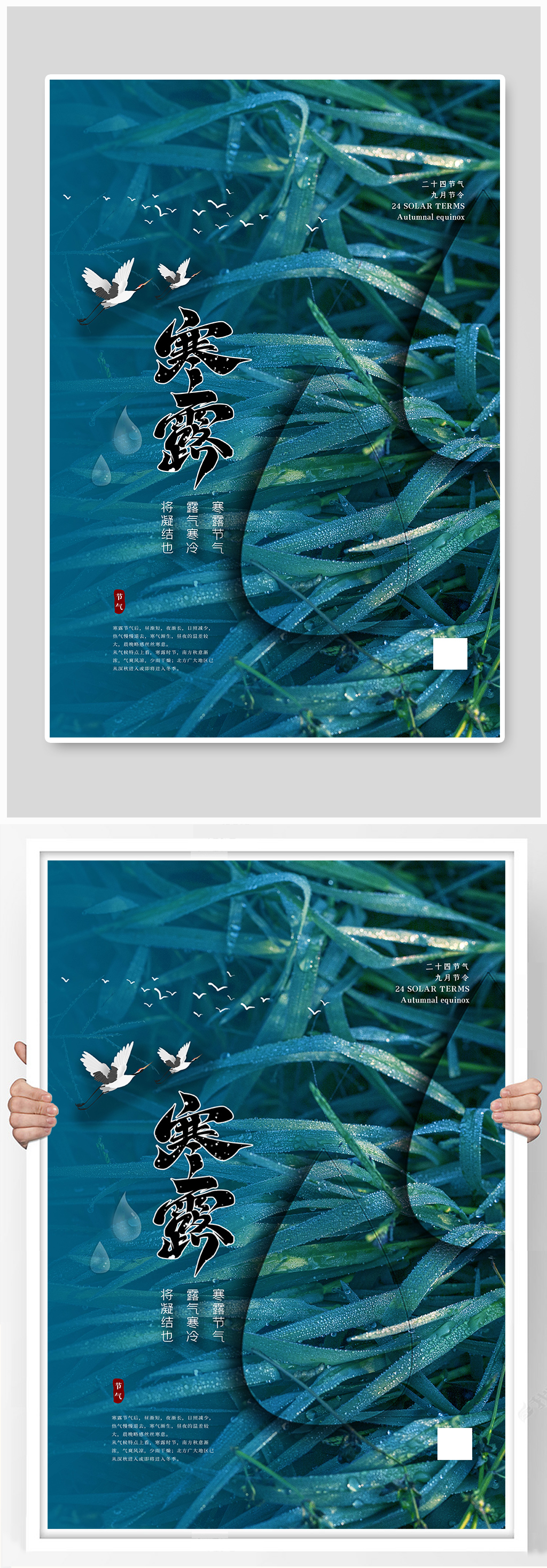 寒露节气蓝色简洁大气海报素材