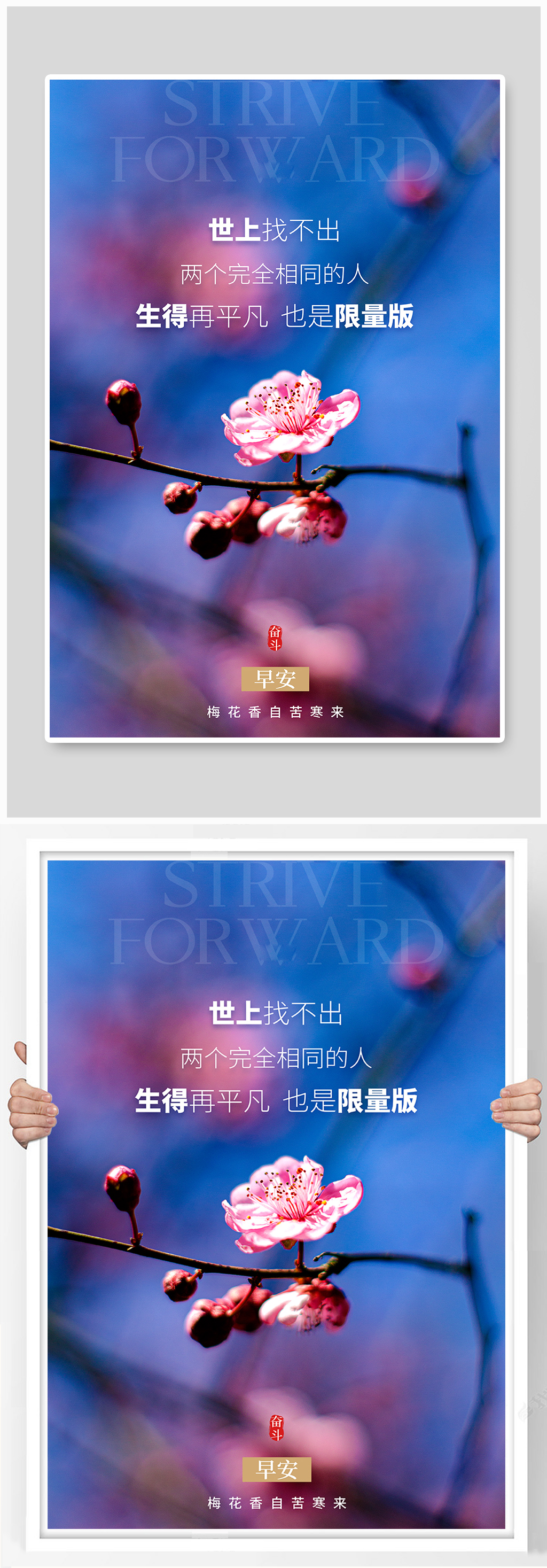 励志梅花蓝色摄影图海报素材